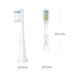 Soocas-General-Toothbrush-Head.jpg