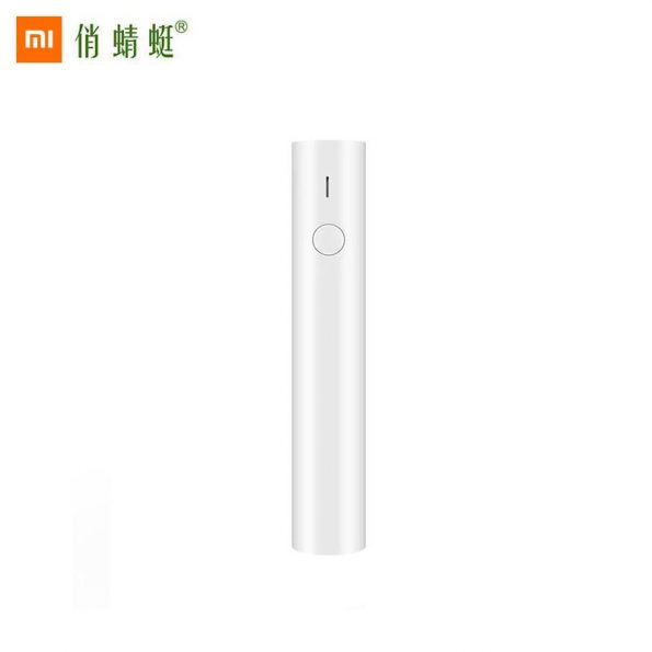 主1