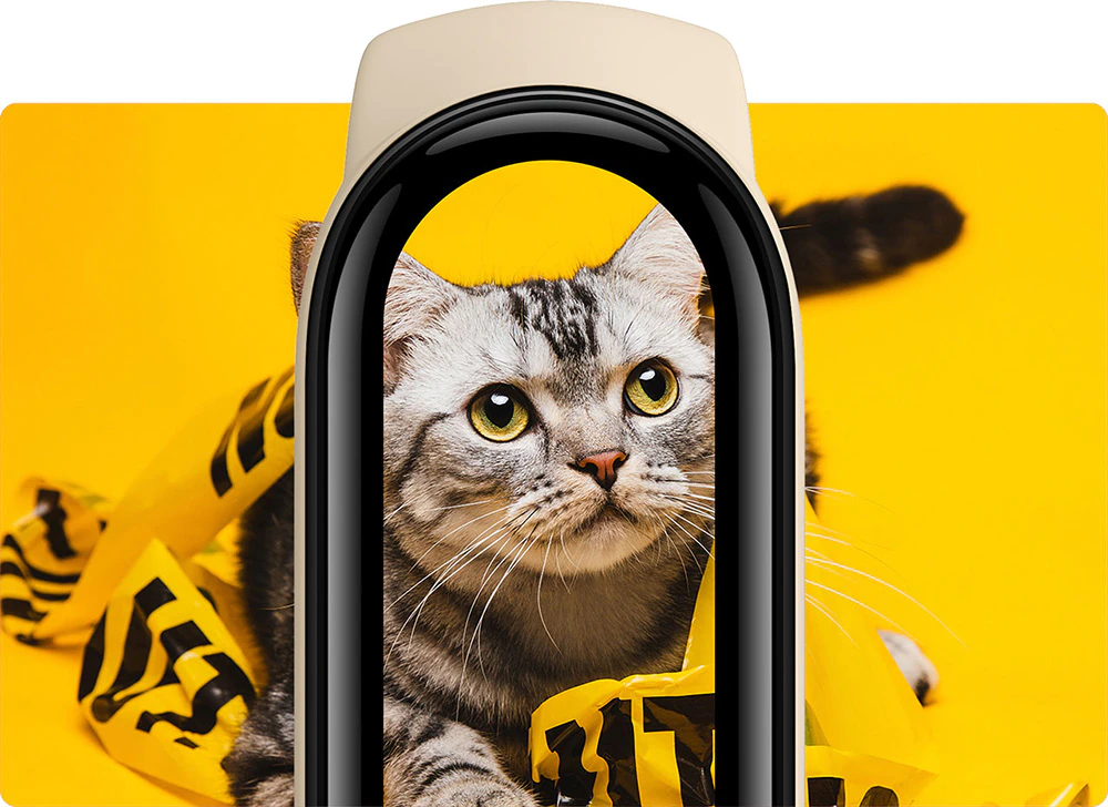 Xiaomi Smart Band 6 Global Version wholesale
