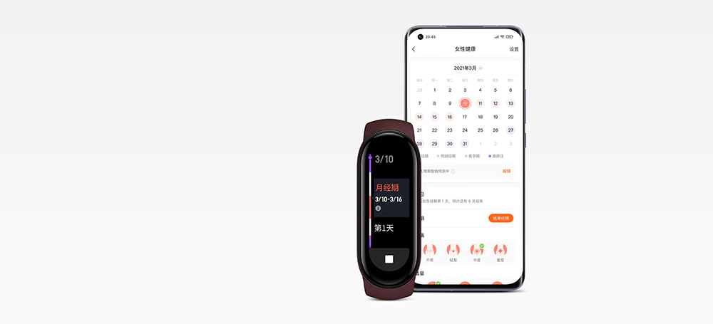 Xiaomi Smart Band 6 Global Version wholesale