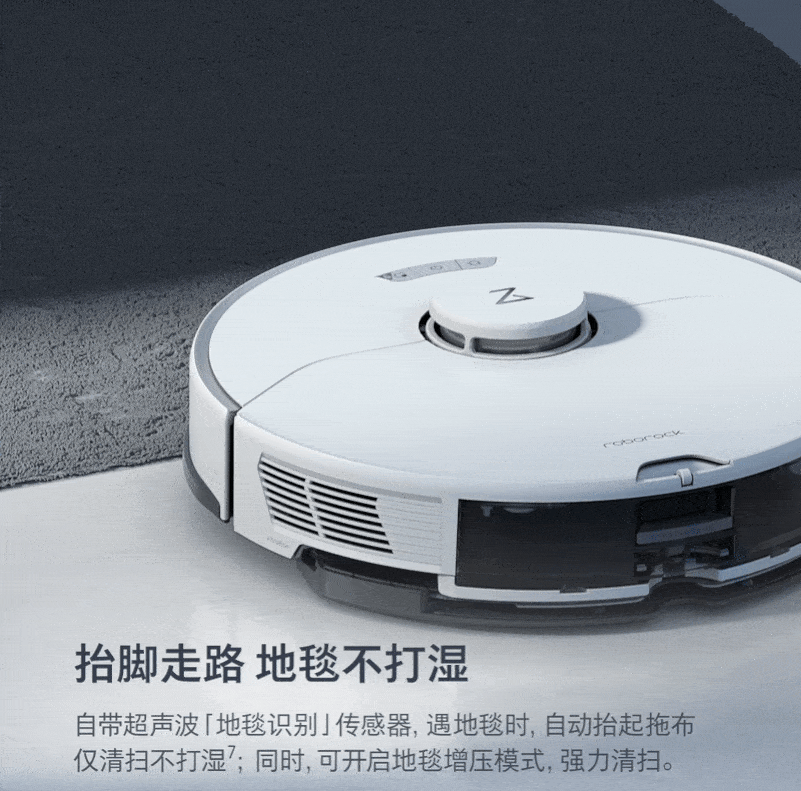 Roborock G10