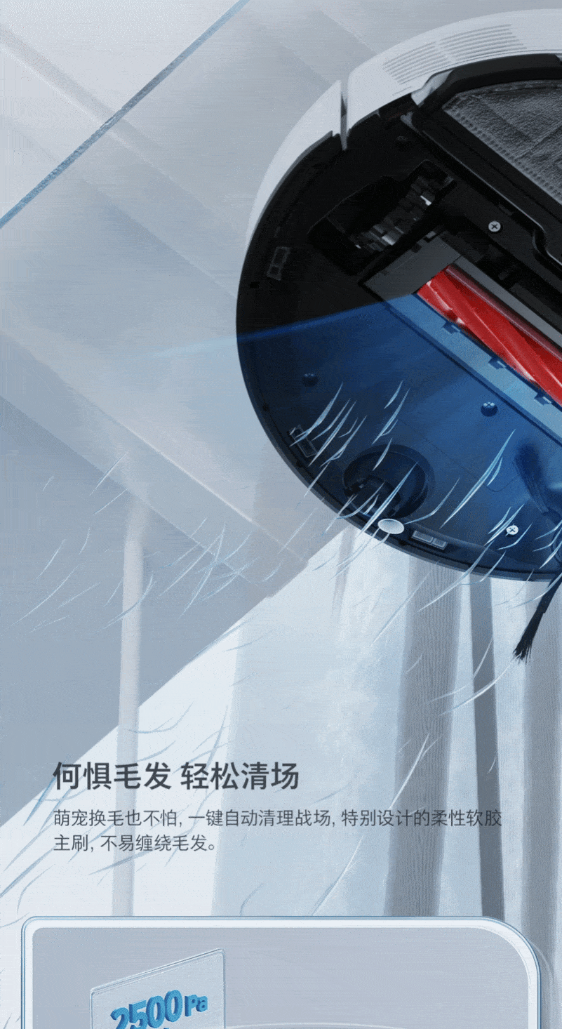 Roborock G10