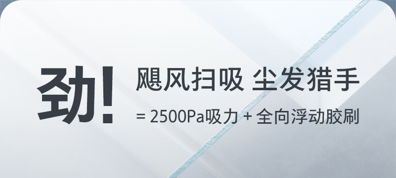 Roborock G10