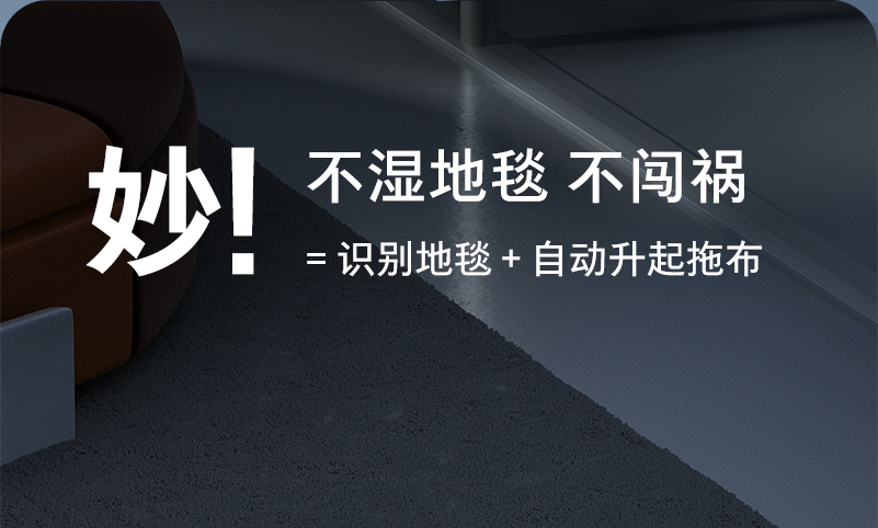 Roborock G10