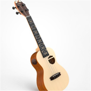Smart Ukulele Cat Version
