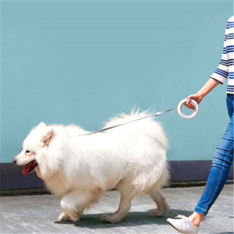 Moestar UFO Retractable Pet Leash - Image 2