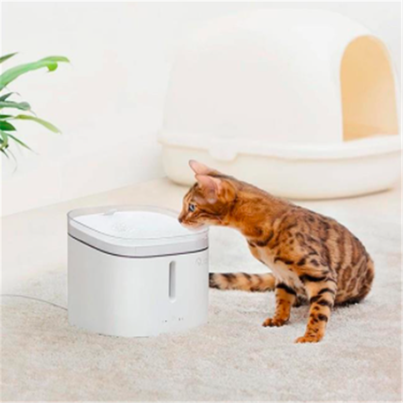 Kitten Puppy Pet Water Dispenser - Image 2